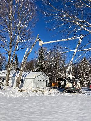 Winter tree trimming and removal in Waukesha County by Dunbar Tree Services.