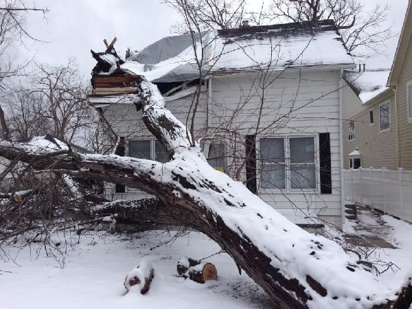Large tree fallen on house during winter snow storm