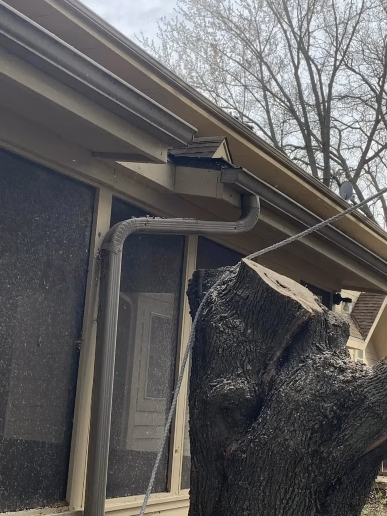 Tree removal near house and window illustrating safety protocols and constrained site removals.