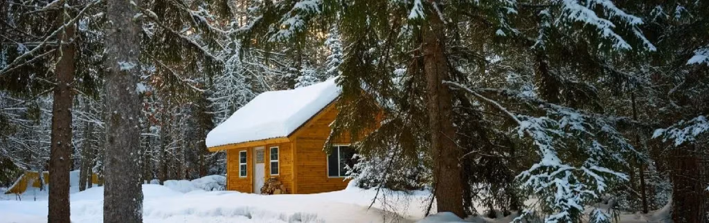 Snow-covered trees and a cabin illustrating winter tree hazards and snow load management in Wisconsin.