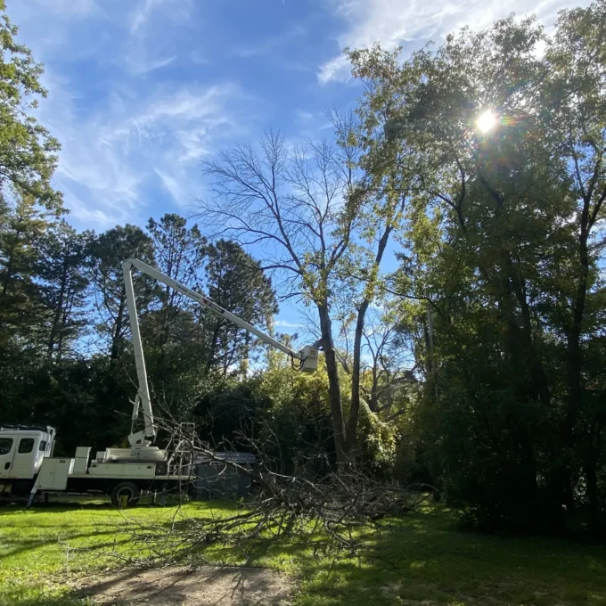White bucket truck trimming trees, with fallen branches on green grass.