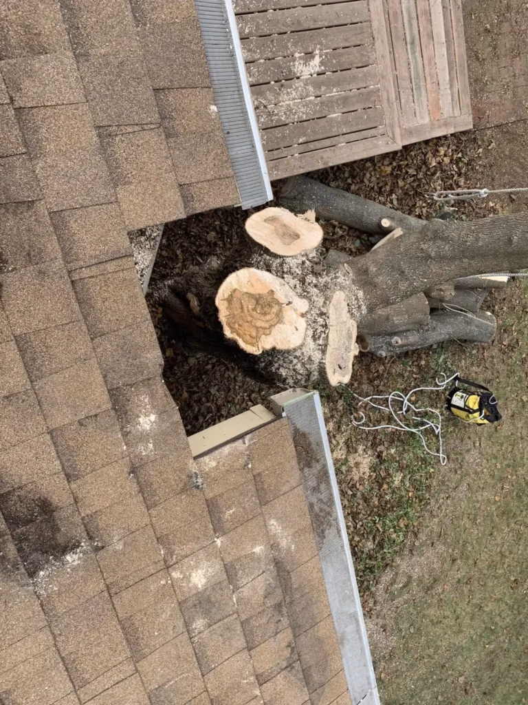 Tree removal and stump grinding on commercial property in Waukesha County, Wisconsin.