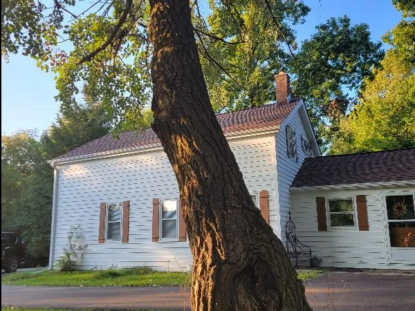 Tree near house illustrating tree removal safety and landscape health in Waukesha County.